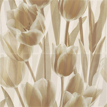 Coraline beige Tulipane композиция 60х60