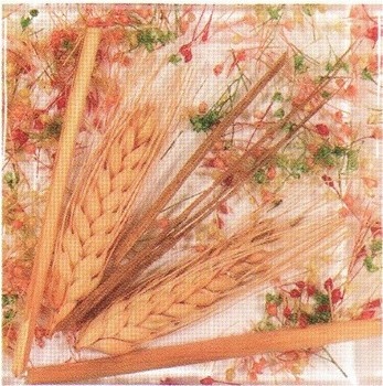 Декор Spighe пшеница оранж 10х10
